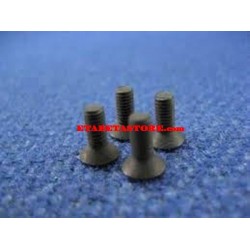 Systema PTW Grip End Screw set of 4 LR-027