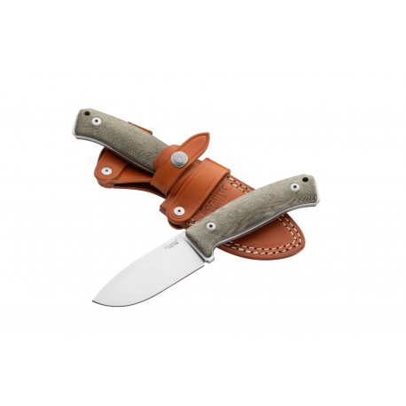 LIONSTEEL M2M CVG Canvas - Verde 