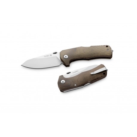 LIONSTEEL TM1 CVG 