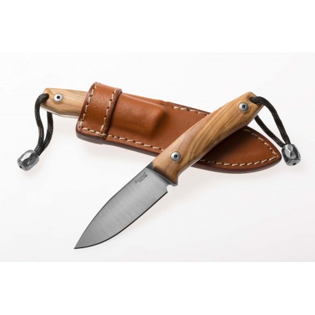 LIONSTEEL M1 Legno - Ulivo M1 UL