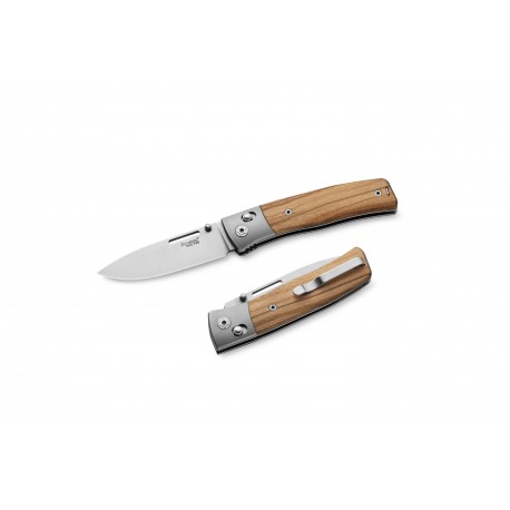 LIONSTEEL NiNi - Ulivo - Mostrina Titanio NN2 UL