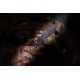 EXTREMA RATIO MF1 EVO SP G10 N690 TOTAL BLACK