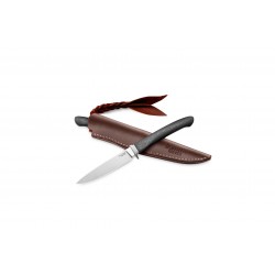 LIONSTEEL Ago - Fibra di carbonio AG01 CF