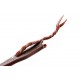 LIONSTEEL Ago - Fibra di carbonio AG01 CF