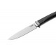LIONSTEEL Ago - Fibra di carbonio AG01 CF
